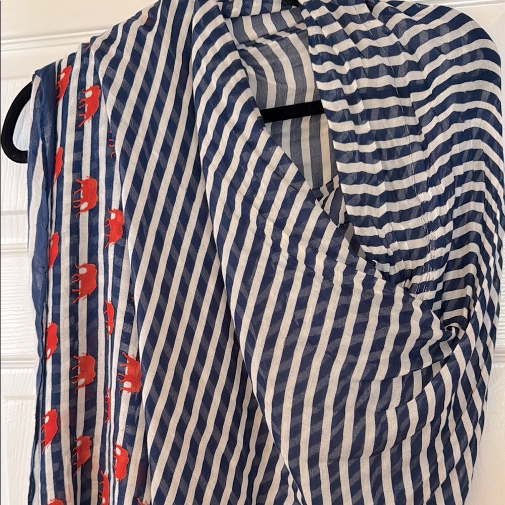 Striped Blue and White Scarf with Red Accents